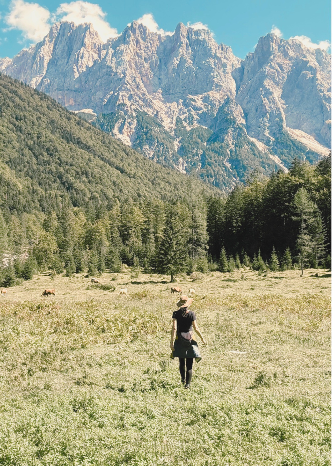 Leni Schütze geht über eine Bergwiese auf felsige Gipfel zu